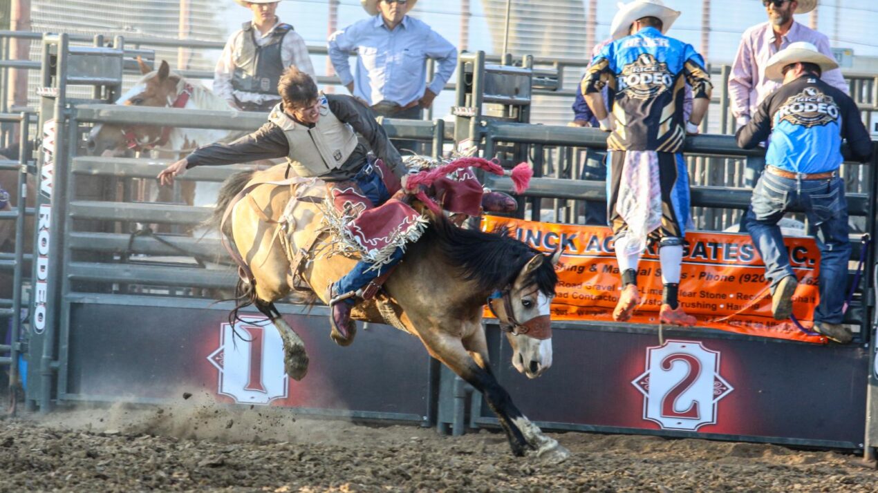 Save Before You Go To Dodge County Rodeo